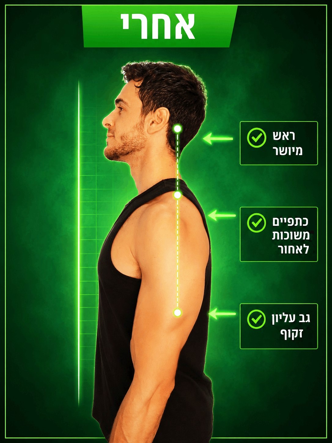 המחשה של יציבה זקופה יותר